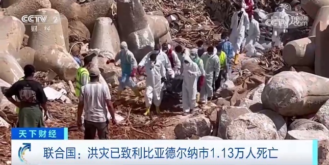 新澳门天天彩资料大全2025年资料